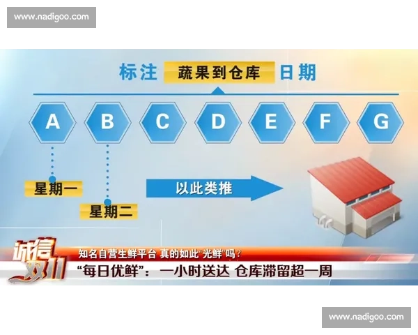 围绕阵容轮换策略的赛季节奏管理与球队竞争力提升研究路径分析