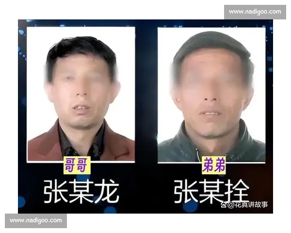 去向成谜背后被掩盖的真相与多方线索交织的调查全景深度追踪解析