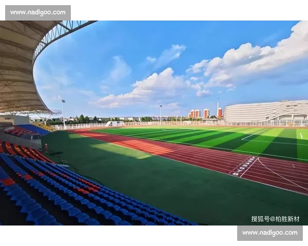 体育场地为核心驱动的城市活力与全民健身融合发展新路径探索