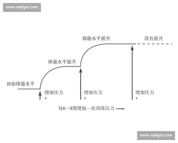 科学运动恢复策略与体能重塑提升实战全流程指南高效训练后调养方案