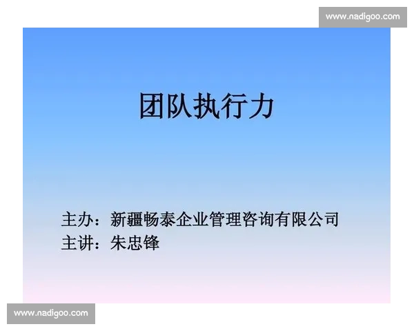 以项目推进为核心全面提升团队协作效率与执行力的策略探索与实践